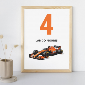 lando norris