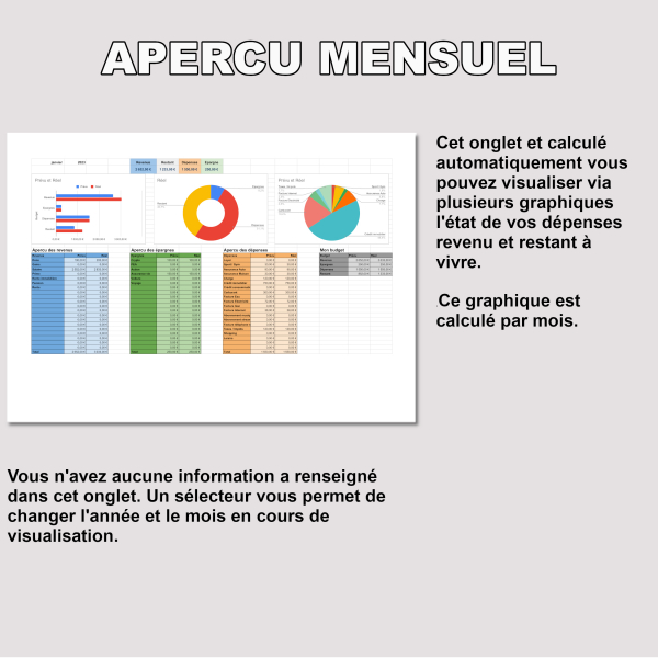 budget mensuel annuel