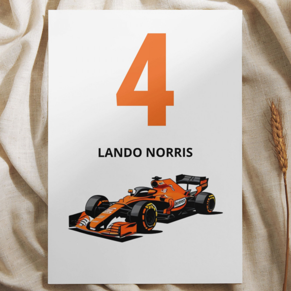 lando norris